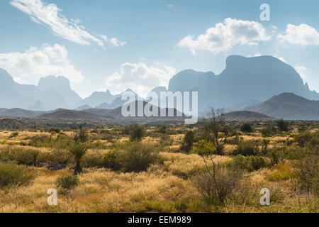 Desert landscape, Big Bend National Park, Texas, United States