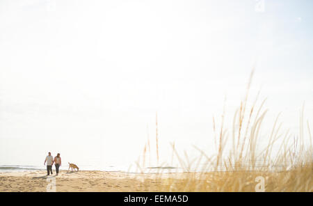 Caucasian couple walking dog on beach Stock Photo