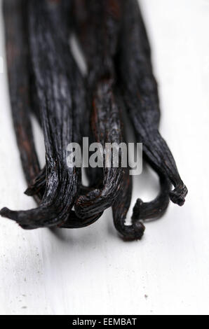 vanilla pods high resolution image Stock Photo