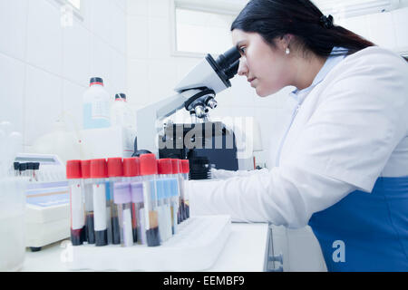 Hispanic scientist examining blood samples in laboratory Stock Photo