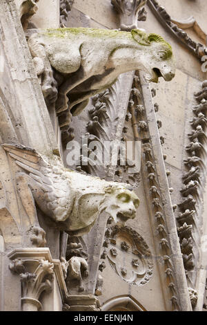 Paris, Notre Dame gargoyles statues on the Gothic cathedral Stock Photo