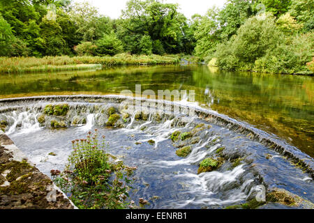 A weir on a trout pool, River Bradford, Bradford Dale, Youlgreave or Youlgrave, Derbyshire, Peak District National Park, England, UK Stock Photo