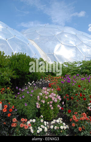 Eden Project, Cornwall, UK.  Planting in front of the Mediterranean Biome. Stock Photo