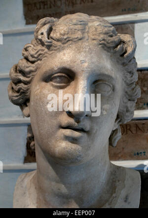 Head of Apollo II century BC Greek  Rome Capitoline Museum Italy Italian (God of music, poetry, art, oracles, archery, plague, medicine, sun, light and knowledge ) Stock Photo