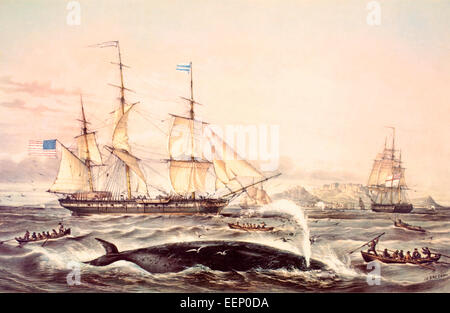 Whaling off the Cape of Good Hope in the mid 19th century. Stock Photo