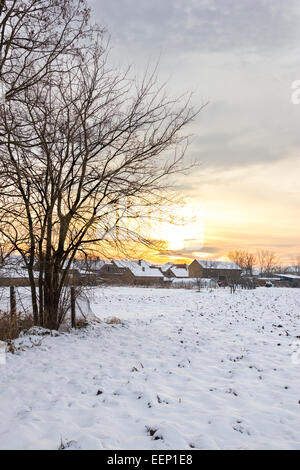 Winter's Tale. Winter landscape with snowy countryside village next to cornfield covered in white snow cover at sunset or sunris Stock Photo