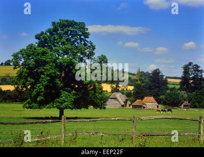 Weald and Downland Living Museum. South Downs. West Sussex. England. Stock Photo