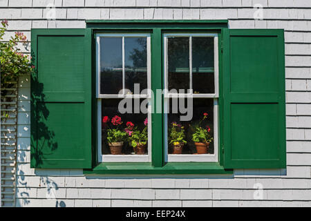 Pots of flowering geraniums in the window of Green Gables House. Located in Cavendish, Prince Edward Island, Canada. Stock Photo