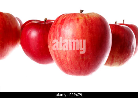 Close up shot of bunch of natural healthy tasty fresh red apples isolated on white background Stock Photo