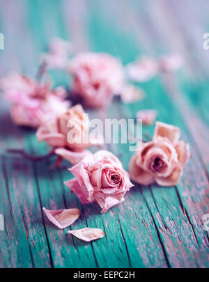 Dry roses on wooden background Stock Photo