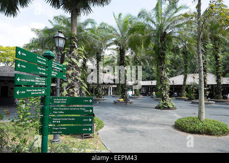 Singapore Botanic Gardens. Stock Photo