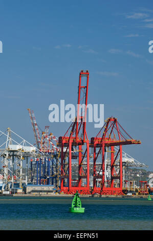 Maritime dry bulk, Durban, KwaZulu-Natal, South Africa, industrial cranes in freight container terminal of harbour, landscape, city, global ports Stock Photo