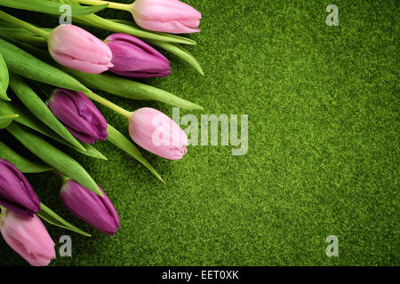 Pink tulips on meadow Stock Photo