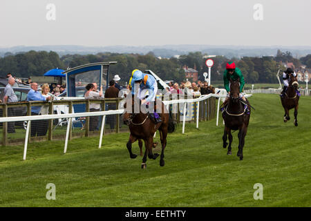 Horse racing at Beverley Racecourse Stock Photo