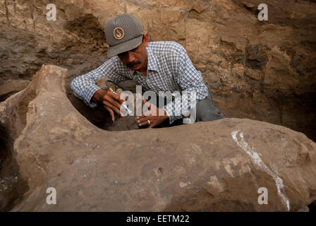 Paleontologist Iwan Kurniawan is working on the excavation of fossilized bones of Elephas hysudrindicus in Blora, Central Java, Indonesia. Stock Photo