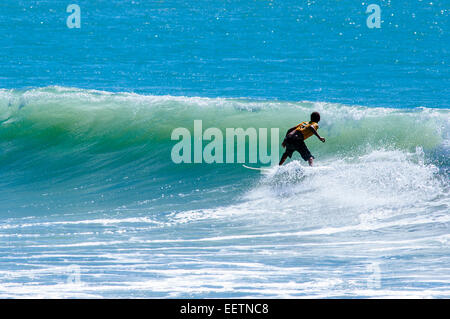 Surf in Dakhla, Western Sahara, Morocco Stock Photo