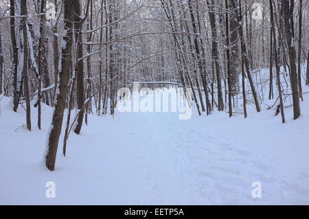 Mont Royal Mountain during winter in Montreal,Quebec. Stock Photo