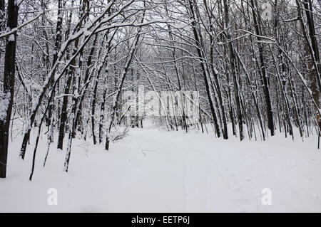 Mont Royal Mountain during winter in Montreal,Quebec. Stock Photo