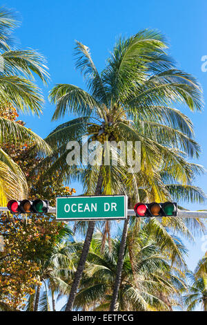 Famous Ocean Drive street sign with palm tree in Miami Beach Stock Photo