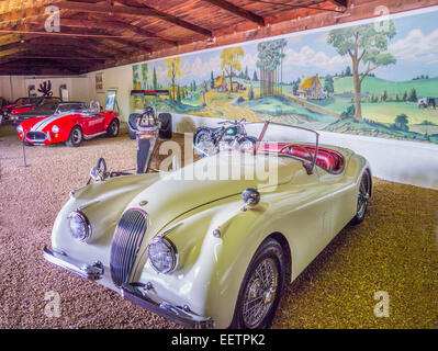 Cars on display inside the  Sarasota Classic Car Museum in Sarasota Florida Stock Photo