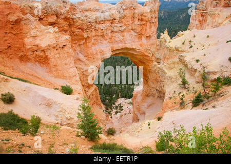 View of hoodoos & other limestone rock formations from Natural Bridge area at Bryce Canyon National Park, Utah, USA in July Stock Photo