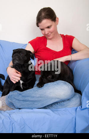 Woman cuddling her two black Pugs sitting on a sheet-covered couch in her home in Seattle, Washington, USA Stock Photo