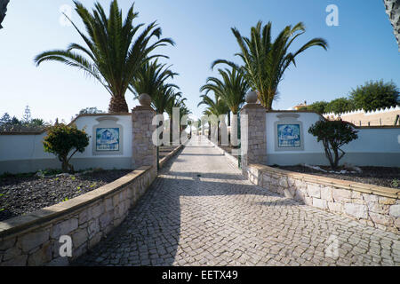 Sir Cliff Richard's vineyard Adega do Cantor Quinta do Miradouro Stock Photo