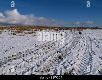 Tractor tyre tracks in snow, Exmoor, Somerset, UK Stock Photo