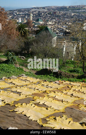 Dyed animal skins laid out to dry in the sun on the hill above Medina in Fez, Morocco Stock Photo