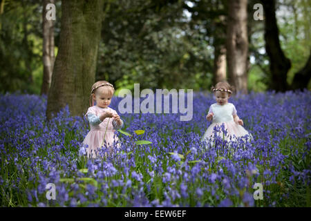 Two little girls exploring a wood full of wild bluebells in Spring. Stock Photo