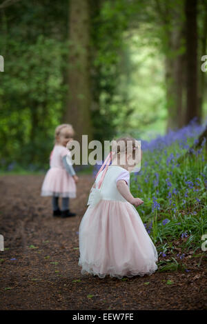 Two little girls in pretty dresses walking along a woodland path of bluebells in Spring. Stock Photo