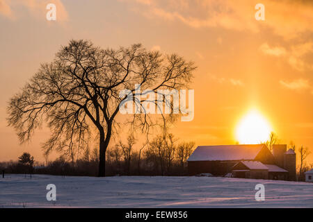 Sunset over an Amish farm in Mecosta County near Big Rapids and Stanwood, Michigan, USA Stock Photo