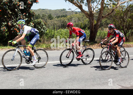 Adelaide, Australia. 22nd January, 2015. Rohan Dennis (AUS) from BMC Racing Team (right of image in black and red jersey) before going on to win stage 3 of the Tour Down Under. Dennis is now the overall tour leader from his team mate Cadel Evans. Stock Photo