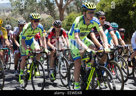 Adelaide, Australia. 22nd January, 2015. Cadel Evans (AUS) from BMC Racing Team (USA) centre of image, during stage 3 of the Tour Down Under.Evans is in second position in the overall standings. Stage 3 was conducted in the Adelaide Hills Australia. Stock Photo