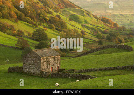 Colour Angram barn in Autumn