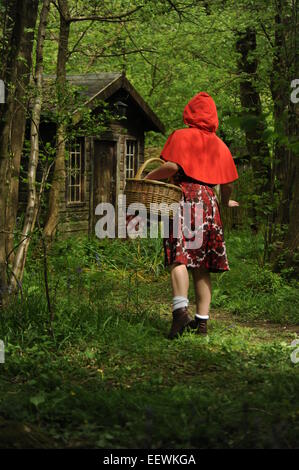 Photograph of Little Red Riding Hood In the woods Stock Photo