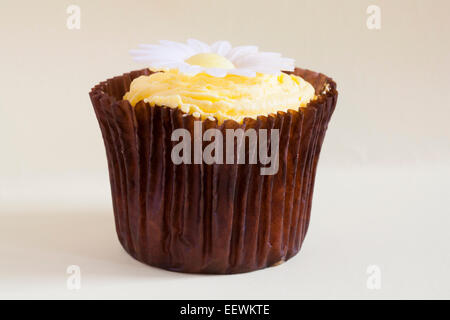 lemon daisy cupcake Stock Photo