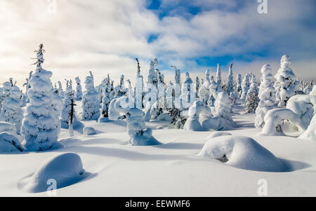 A snow covered forest in Finnish Lapland Stock Photo