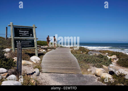 Couple walking along the walkway in the Table Mountain National Park towards the Slangkop Point lighthouse in Kommetjie. Stock Photo
