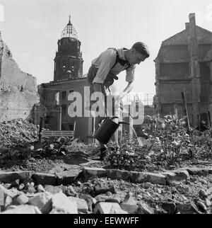 The photo by famous photographer Richard Peter sen. shows a young man who is growing vegetables, surrounded by ruins of the city of Dresden that was massively destroyed by air raids between 13 and 14 February. The picture was taken around 1947. View from the North to the Dresden New Town Hall. Photo: Deutsche Fotothek/Richard Peter sen. - NO WIRE SERVICE Stock Photo