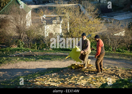 Tanners laying out dyed animal skins to dry in the sun, Fez, Morocco Stock Photo