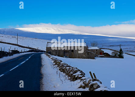 Farm in Ribblesdale, with Whernside in the distance, Yorkshire Dales National Park, North Yorkshire, England UK Stock Photo