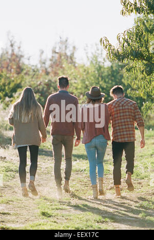 Apple orchard. Two couples walking along a path. Stock Photo