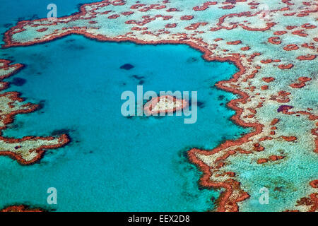 Aerial view of heart-shaped Heart Reef, part of the Great Barrier Reef of Whitsundays in the Great Barrie, Queensland, Australia Stock Photo