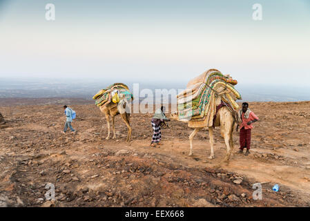 Africa, Ethiopia, Danakil, Afar Nomads caravan Stock Photo