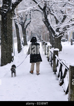 A woman walks through Wooster Square Park in New Haven during Monday's snowstorm. Stock Photo