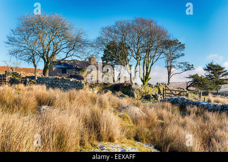 An old abandoned farmhouse at ditsworthy Warren on Dartmoor National Park in Devon Stock Photo