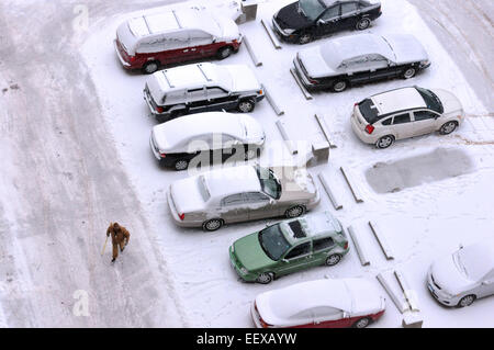 A man walks through the parking lot at the Bella Vista apartments during Saturday's snowstorm. Stock Photo