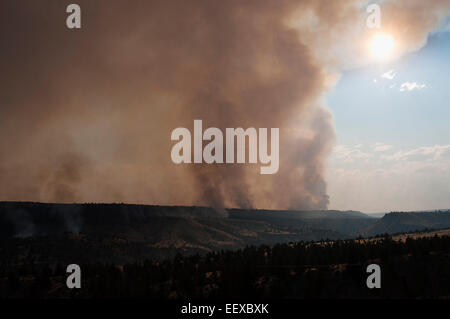 Forest fires in Eastern Oregon. Stock Photo