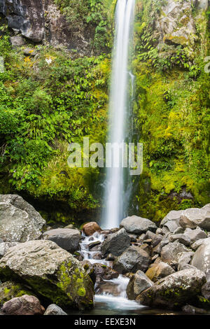 Dawson Falls, Egmont National Park, North Island, New Zealand Stock Photo